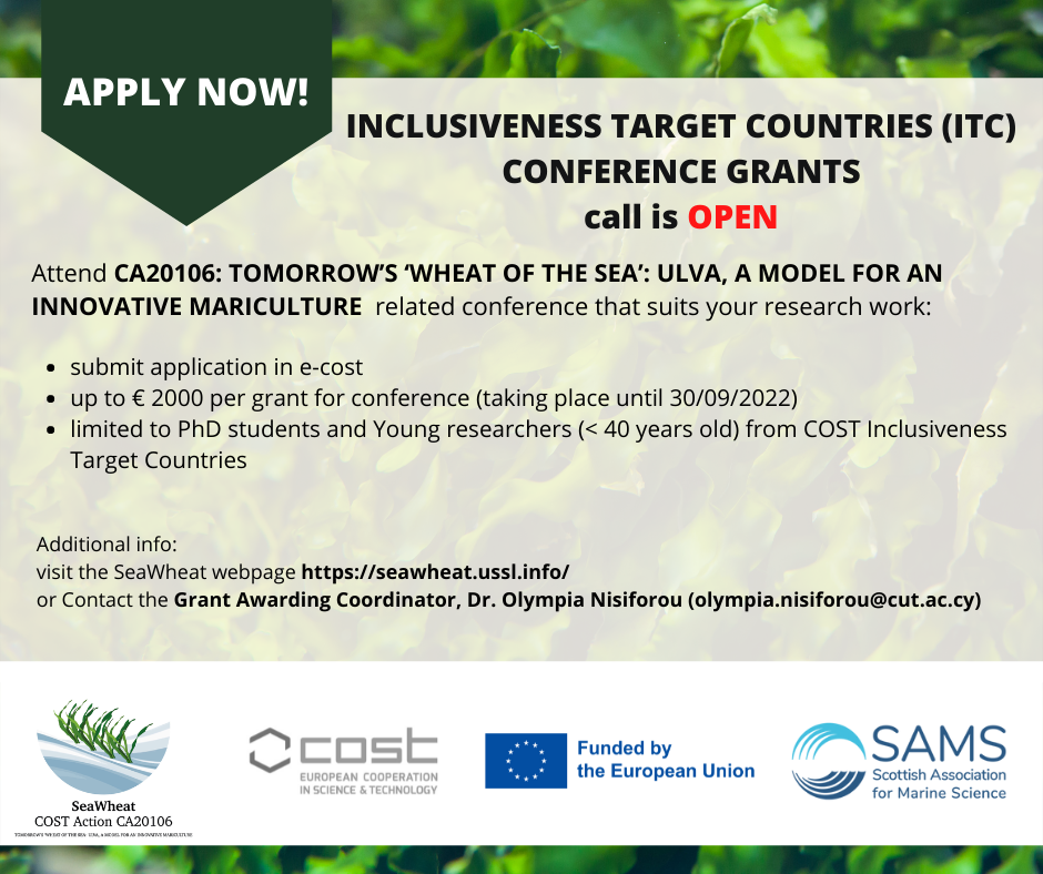 ITC grant application