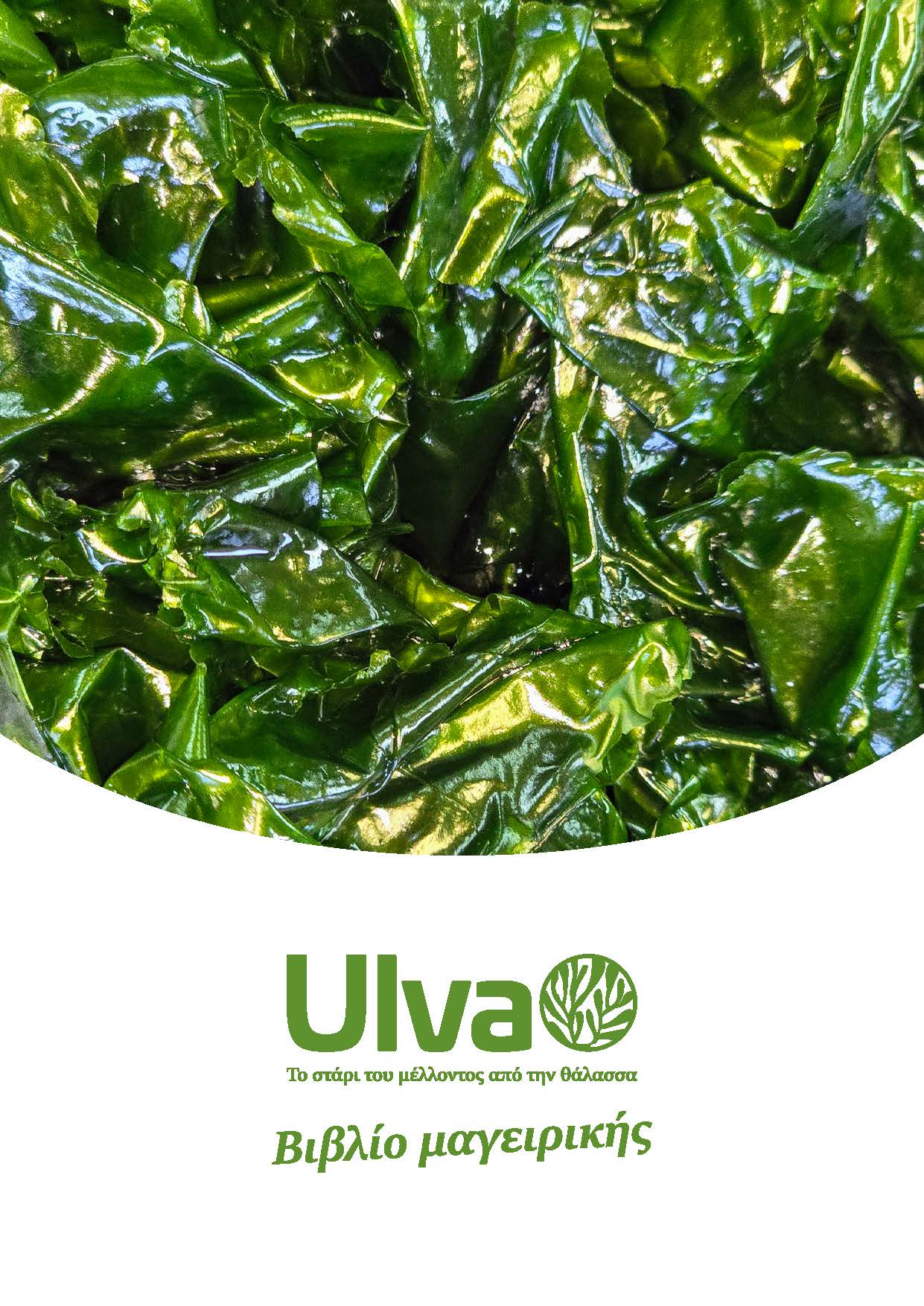 Read more about the article Greek recipe book