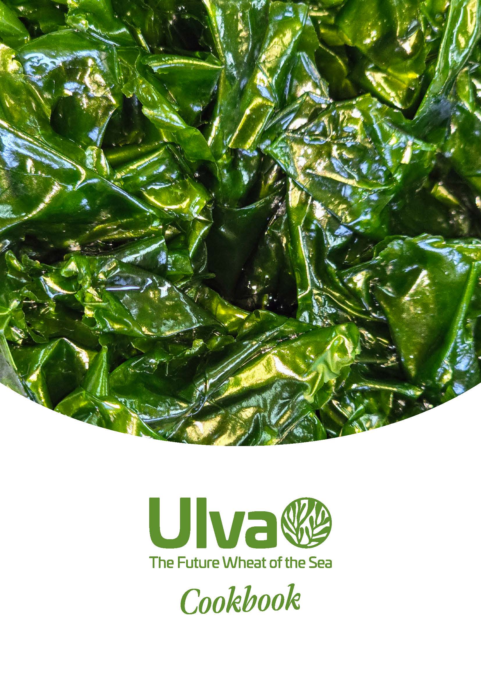 Read more about the article Portuguese recipe book