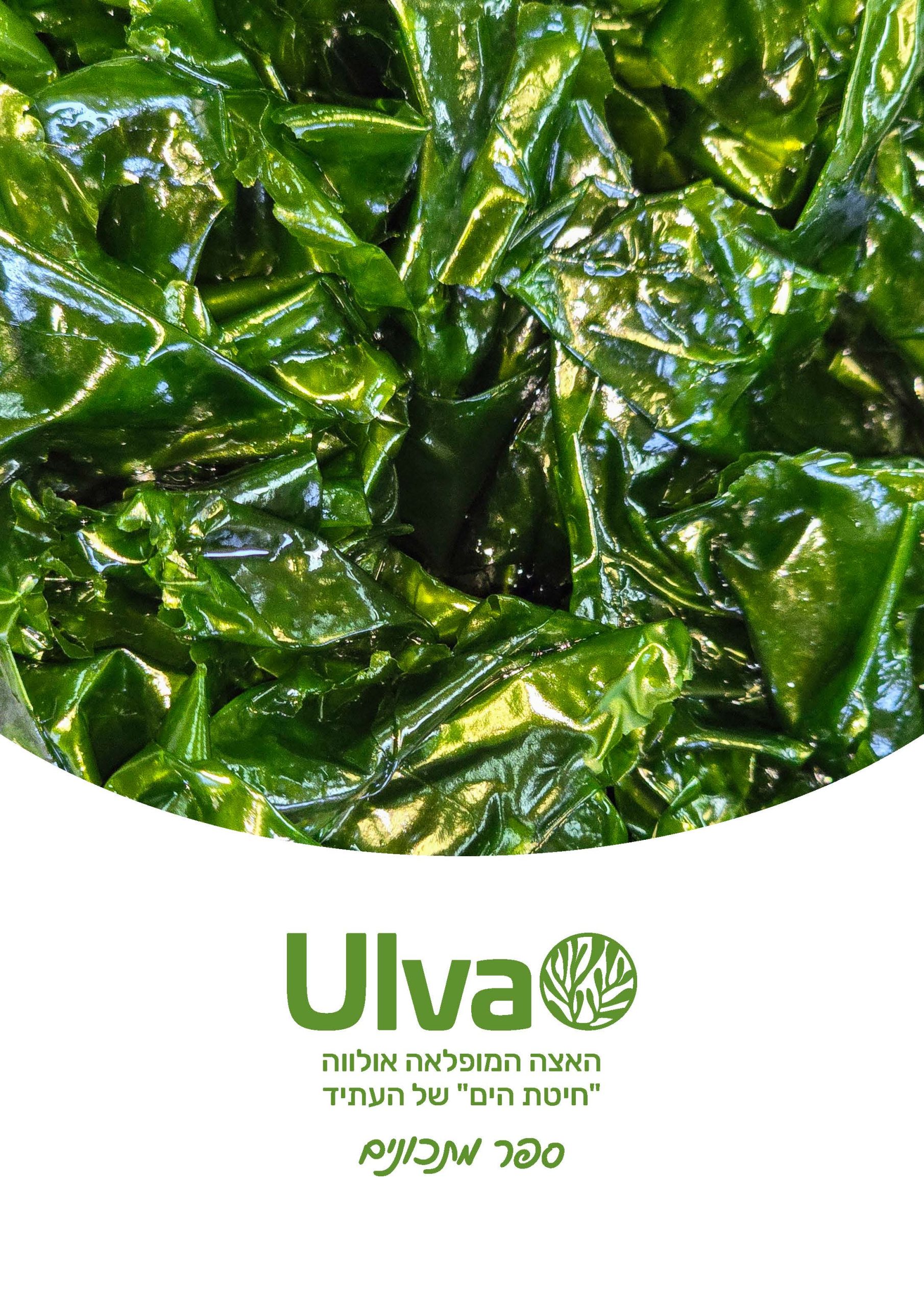 Read more about the article Hebrew recipe book